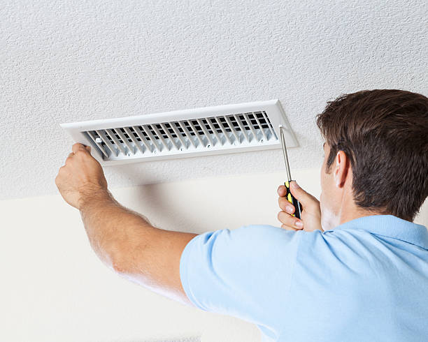 Reliable Walla Walla East, WA Mold Removal Solutions