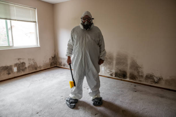 Environmental Consulting for Mold Prevention in Walla Walla East, WA
