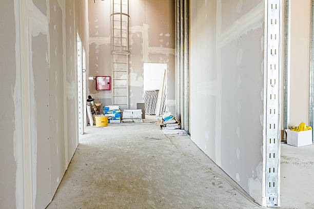 Best Mold-Related Health Consultation  in Lla Lla East, WA